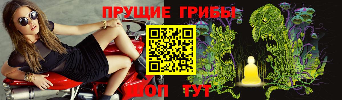 Галлюциногенные грибы мухоморы  купить наркотик  Псилоцибиновые грибы Psilocybine cubensis  Тобольск  Вход с VPN 
