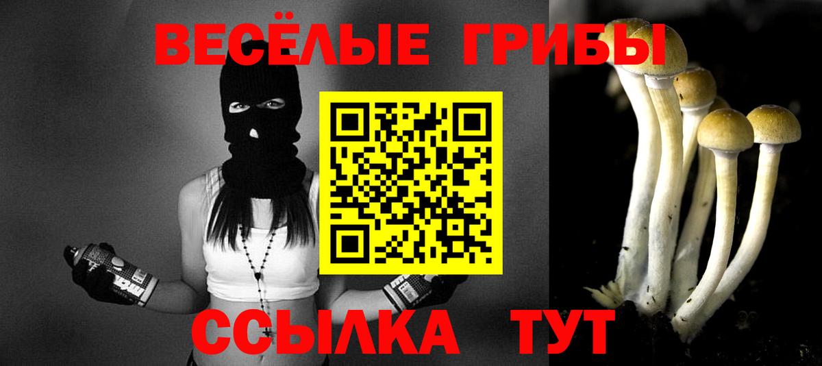 Галлюциногенные грибы ЛСД Тобольск